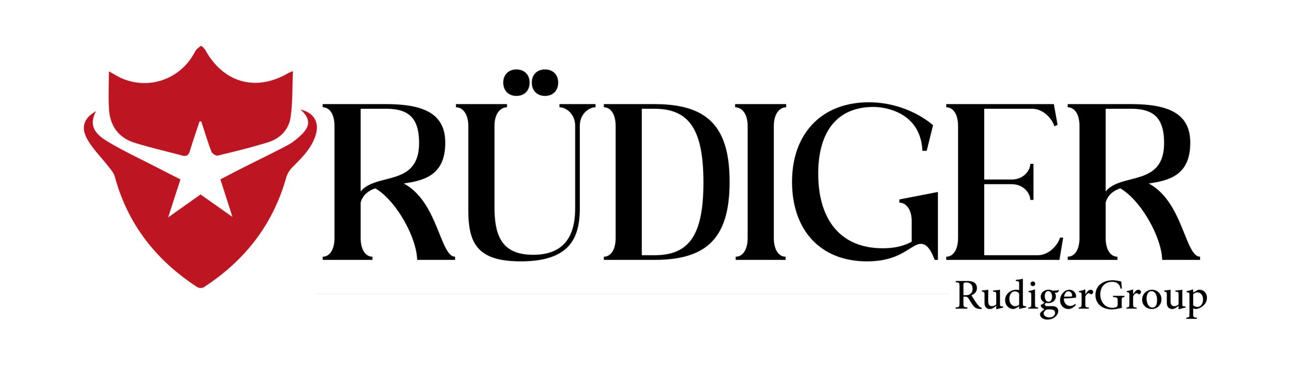 rudiger group